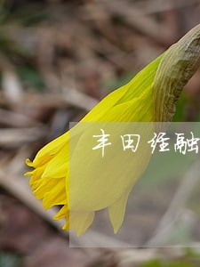 丰田经融逾期信息 丰田经融逾期信息