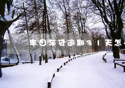 丰田车贷逾期31天怎么解决 丰田车贷逾期31天怎么解决