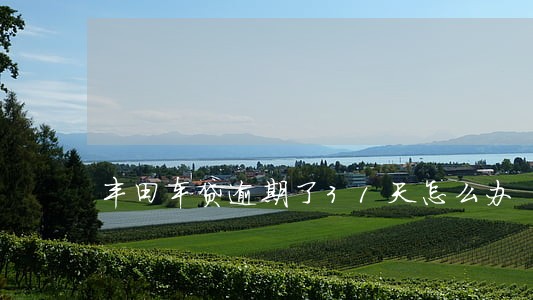 丰田车贷逾期了31天怎么办 丰田车贷逾期了31天怎么办