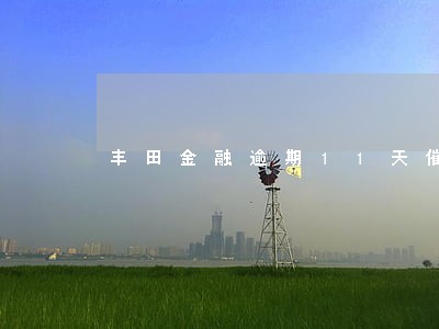 丰田金融逾期11天催款