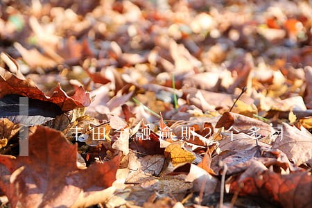 丰田金融逾期2个多月
