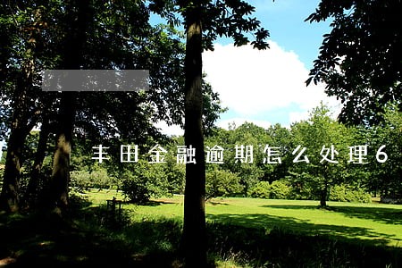 丰田金融逾期怎么处理6 丰田金融逾期怎么处理6