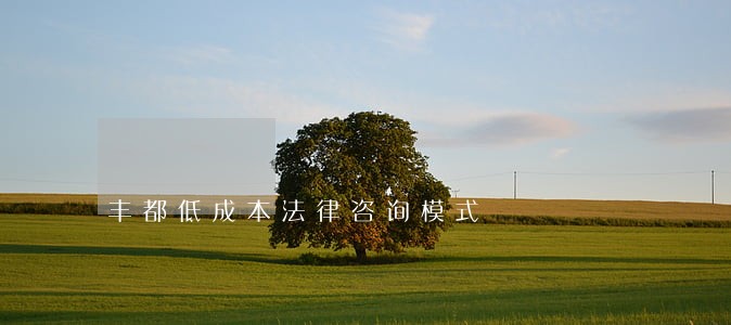 丰都低成本法律咨询模式