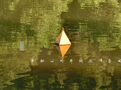丰都公司并购法律咨询 丰都公司并购法律咨询