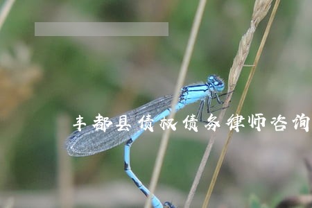 丰都县债权债务律师咨询电话 丰都县债权债务律师咨询电话