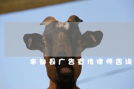 丰都县广告宣传律师咨询电话 丰都县广告宣传律师咨询电话