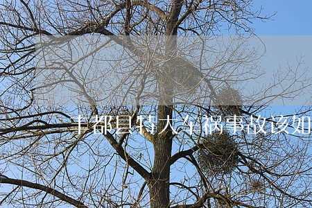 丰都县特大车祸事故该如何诉讼 丰都县特大车祸事故该如何诉讼