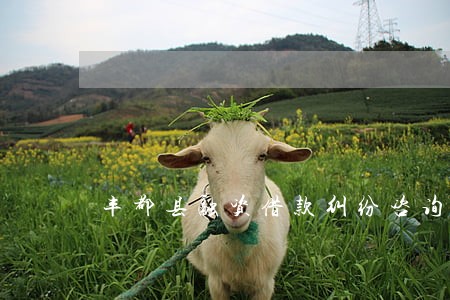 丰都县融资借款纠纷咨询律师 丰都县融资借款纠纷咨询律师
