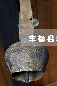 丰都县非机动车车祸该怎么样诉讼 丰都县非机动车车祸该怎么样诉讼