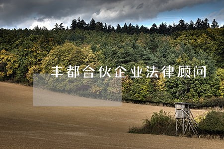 丰都合伙企业法律顾问