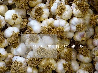 丰都离婚协议律师 丰都离婚协议律师