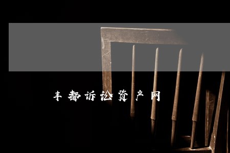 丰都诉讼资产网