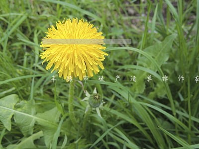 丰镇市破产清算律师在线免费咨询 丰镇市破产清算律师在线免费咨询
