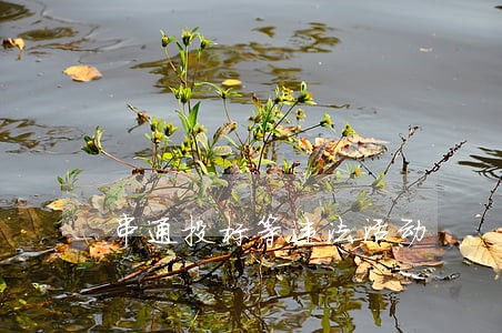 串通投标等违法活动 串通投标等违法活动