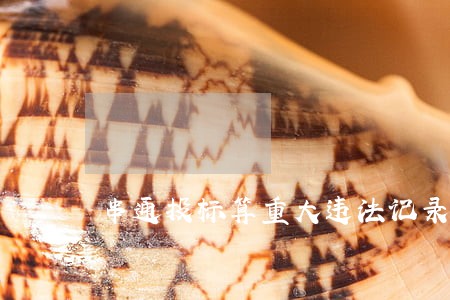 串通投标算重大违法记录吗 串通投标算重大违法记录吗