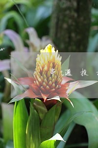 串通投标认定 串通投标认定