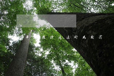 串通投标违法行为处罚 串通投标违法行为处罚