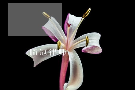 临冠律师 临冠律师