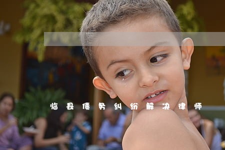 临县债务纠纷解决律师 临县债务纠纷解决律师