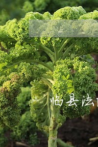 临县法院李艳红电话 临县法院李艳红电话