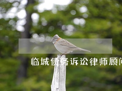 临城债务诉讼律师顾问 临城债务诉讼律师顾问