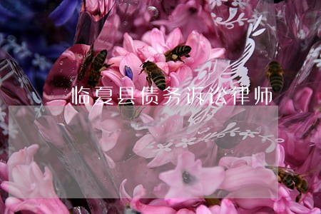 临夏县债务诉讼律师 临夏县债务诉讼律师
