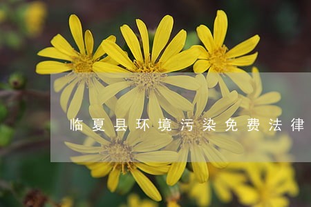 临夏县环境污染免费法律咨询热线 临夏县环境污染免费法律咨询热线