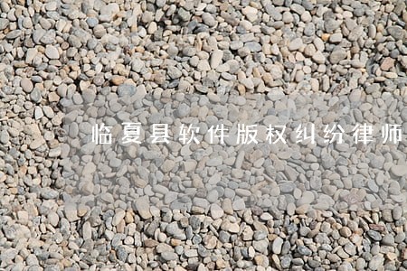 临夏县软件版权纠纷律师 临夏县软件版权纠纷律师