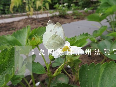 临夏回族自治州法院审判服新咨询 临夏回族自治州法院审判服新咨询