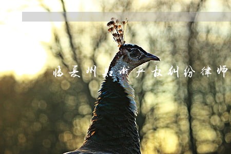 临夏州知识产权纠纷律师 临夏州知识产权纠纷律师