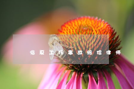 临夏工伤事故赔偿律师
