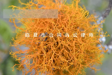 临夏市合同诉讼律师 临夏市合同诉讼律师