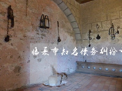 临夏市知名债务纠纷诉讼律师 临夏市知名债务纠纷诉讼律师