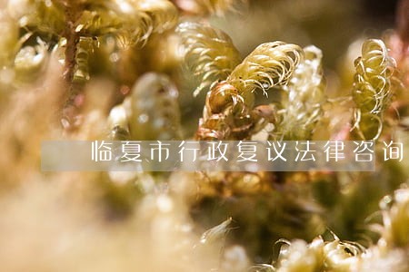 临夏市行政复议法律咨询热线