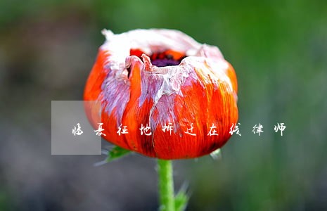 临夏征地拆迁在线律师 临夏征地拆迁在线律师