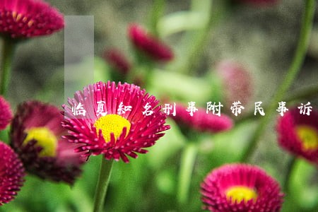 临夏知名刑事附带民事诉讼律师