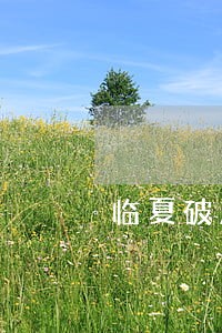 临夏破产清算律师在线免费咨询 临夏破产清算律师在线免费咨询