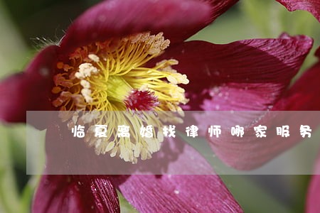 临夏离婚找律师哪家服务好 临夏离婚找律师哪家服务好