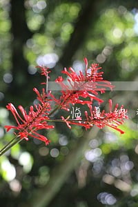 临夏纳税筹划法律问答 临夏纳税筹划法律问答