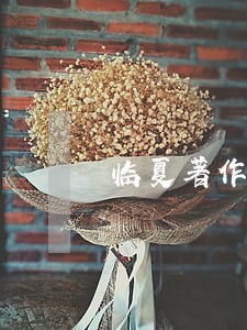 临夏著作权诉讼纠纷律师
