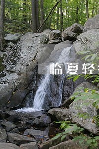 临夏轻微交通肇事该怎么诉讼