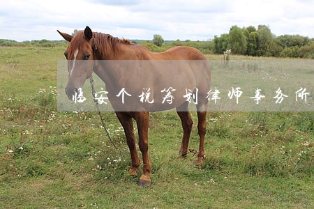 临安个税筹划律师事务所 临安个税筹划律师事务所