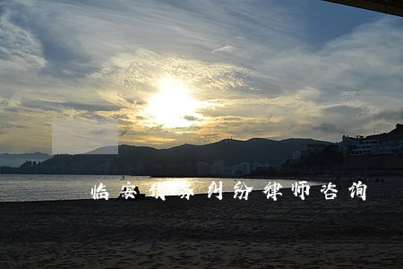 临安债务纠纷律师咨询 临安债务纠纷律师咨询