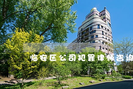 临安区公司犯罪律师咨询电话 临安区公司犯罪律师咨询电话
