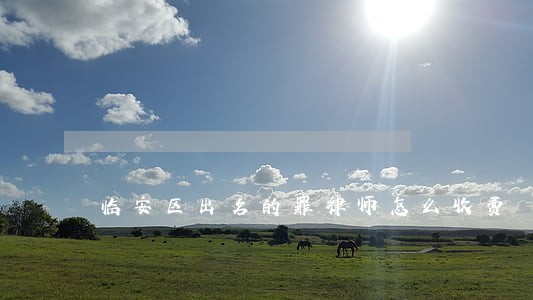 临安区出名的罪律师怎么收费 临安区出名的罪律师怎么收费