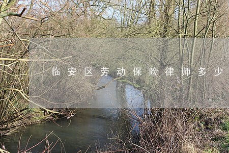 临安区劳动保险律师多少钱 临安区劳动保险律师多少钱