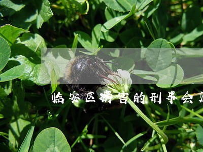 临安区厉害的刑事会见律师律所 临安区厉害的刑事会见律师律所