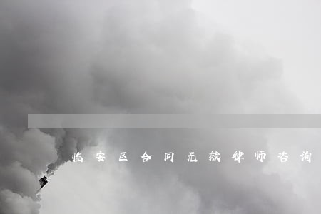 临安区合同无效律师咨询 临安区合同无效律师咨询