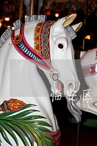 临安区同居财产分割咨询律师 临安区同居财产分割咨询律师