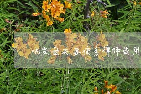 临安区夫妻债务律师费用 临安区夫妻债务律师费用
